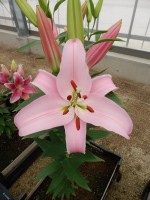 [5534 PO37 Frontera No02.JPG]